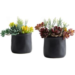 2 Grandi Piante Succulente Artificiali in Vasi di Ceramica Nera Opaca per Decorazione Scrivania, Camera da Letto, Soggiorno o Bagno - Product Image 1