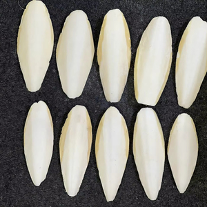 Quality Natural Dried <b>Cuttlefish</b> Bone Squid Bone for Parrots at Factory - Product Image 1