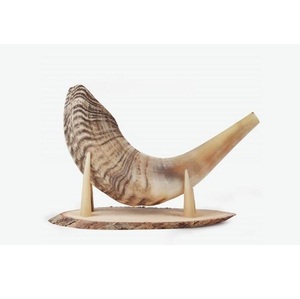 Shofar artisanal en corne de mouton, instrument à vent traditionnel avec finition polie haute brillance pour fournisseur en gros de produits religieux - Product Image 1