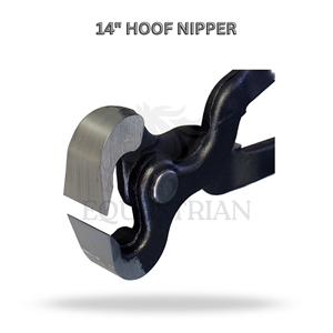 Coupe-ongles pour chevaux de 14 pouces, durable, réutilisable, en acier inoxydable, outil vétérinaire pour l'entretien des sabots, outil d'équitation - Product Image 2