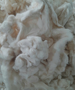 Algodón Crudo de la Marca Nithya, Fibra de Algodón Desenredada de 18-20 mm, Algodón Blanco a Granel para Tejer, Hilar y Rellenar - Product Image 2