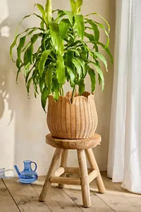 Macetero de ratán tejido, soporte para plantas de ratán natural, soporte para macetas de interior, macetero tejido a mano, soporte de exhibición para el hogar y el jardín - Product Image 4