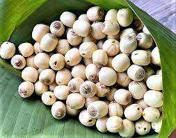 เมล็ดบัวขาวอบแห้งออร์แกนิกคุณภาพสูง ราคาขายส่งจากโรงงาน อาหารที่มีคุณค่าทางโภชนาการ - Product Image 4