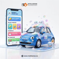 Lavado de coches llave en mano, software personalizado para lavado de coches, desarrollo de sistemas de gestión para lavado de coches, desarrollador de lavado de coches, outsourcing de lavado de coches