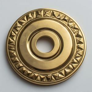 Plaque arrière en métal de conception avancée de qualité supérieure, conçue pour une installation sécurisée des quincailleries de porte dans les intérieurs résidentiels contemporains - Product Image 1