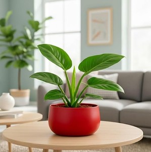 Macetero de Hierro Resistente con Recubrimiento en Polvo |   Maceta para Flores de Jardín - Product Image 1