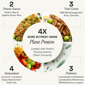 Poudre de protéines végétales premium au chocolat noir, riche en protéines, pour boisson protéinée quotidienne, mélange de protéines végétales naturelles pour shake nutritif - Product Image 4