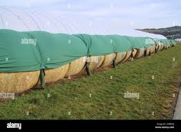 Lona de Polietileno Económica de 90 GSM – Uso en Construcción y Embalaje - Product Image 3