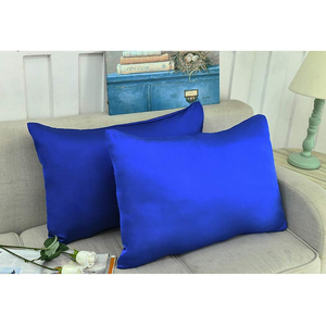 Coussins décoratifs et d'appoint multi-tailles pour canapé d'hôtel, en velours de plumes de luxe, personnalisables, couleur unie, lavables - Product Image 5