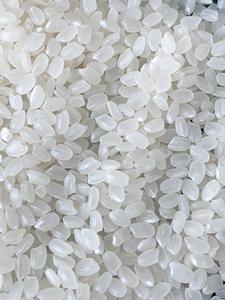 RIZ À SUSHI 1kg 5kg 10kg RIZ À GRAIN COURT SANS AIR (VACUUM) JAPONICA RIZ ARROZ 5% BRISURES DU VIETNAM [Sandra] - Product Image 3