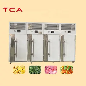 TCA vertical deep freezer 4 door Energy saving and Multifunction vertical deep freezer with factory price