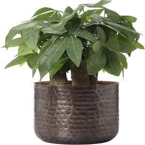 Jarrón de Metal en Tono Cobre Vintage, Maceta con Textura Martillada, Recipiente Cilíndrico para Plantas Suculentas de Interior, Macetas de Metal - Product Image 1