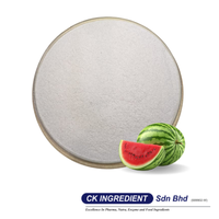 Premium hoogwaardige voedselkwaliteit watermeloen sap poeder Halal OEM B2B beste leverancier garantie topverkoop vacuüm verpakt verfrissend