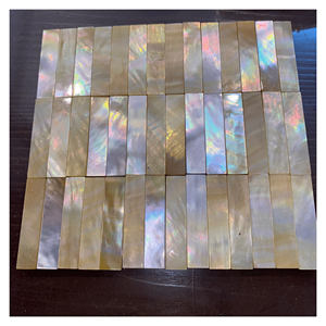 เปลือกหอยมุกคุณภาพพรีเมียมสำหรับงานตกแต่ง งานฝีมือ และงานออกแบบ ผลิตในเวียดนาม - Product Image 4