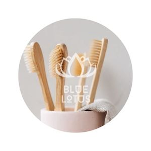 [VENTA EXITOSA] Mango Suave para Cepillo de Dientes con Cerdas de Nylon Suaves para Adultos, Uso Doméstico, Hecho en Ben Tre - Product Image 1