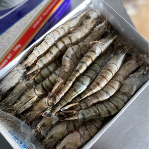 Camarones Tigre Negros a Granel en Stock para Venta con Proceso de Congelación BQF para Exportadores y Minoristas de Alimentos Congelados - Product Image 6