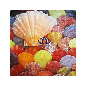 Artisanat esthétique de coquillages de haute qualité |   Art mural et bijoux polyvalents en coquillages naturels - Product Image 1