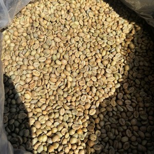 เมล็ดกาแฟโรบัสต้าเวียดนามสีเขียว ขนาด 16 สะอาด ออร์แกนิค กาแฟชนิดพิเศษ เมล็ดกาแฟส่งออกจำนวนมาก ความหนาแน่นสูง ผู้จัดจำหน่ายกาแฟ - Product Image 5