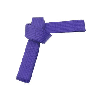 Cinturones de Karate de Artes Marciales Hechos a Medida de Alta Calidad, Última Moda en Cinturones de Color Sólido Personalizados, Servicio OEM, Fabricante Mayorista - Product Image 2