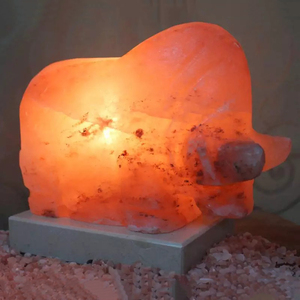 Lampes décoratives USB en cristal naturel avec logo personnalisé, mini lampes de sel de l'Himalaya exclusives, haute qualité premium - Product Image 5