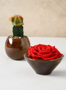 แจกันเซรามิกสีน้ำตาลมอคค่าสไตล์เรียบง่าย รูปทรงโค้งมน เคลือบเงาอย่างดี พร้อมสัมผัสอุ่นๆ เหมาะสำหรับตกแต่งพื้นที่อยู่อาศัยที่ทันสมัยและอบอุ่น - Product Image 5