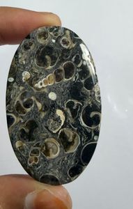 Lote al por mayor de cabujones de ágata TURRITELLA por peso con diferentes formas y tamaños utilizados para la fabricación de joyas, piedra TURRITELLA - Product Image 1