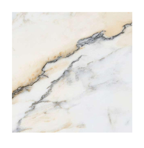 Carreaux muraux en céramique de qualité supérieure pour la décoration intérieure des salles de bain et cuisines, fournisseur et exportateur en gros d'Inde - Product Image 5