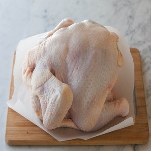 ไก่ทั้งตัวแช่แข็ง BQF เกรด A พร้อมส่ง ขายส่ง คุณภาพระดับพรีเมียมสำหรับธุรกิจอาหาร - Product Image 1