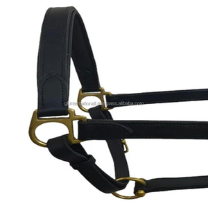 สายคล้องคอหนังสีดำบุนวมสำหรับขี่ม้าวัสดุหนังสไตล์อังกฤษ - Product Image 2