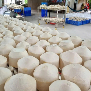 น้ำมะพร้าวสดเวียดนามพรีเมียม น้ำมะพร้าวธรรมชาติสดชื่น ผลไม้เมืองร้อน จำหน่ายจำนวนมาก รับผลิตแบบ OEM และบรรจุภัณฑ์ตามสั่ง - Product Image 4