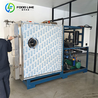 Vriesdroogmachine voor fruit en groenten, vacuümvriesdroogmachine voor gevriesdroogde drakenvrucht