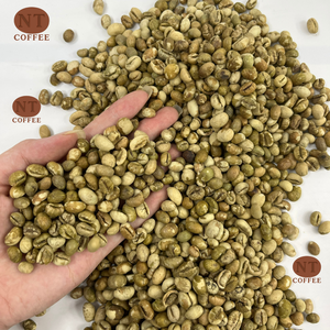 Wholesale Culi Green <b>Coffee</b> Beans Vietnam Origin Rich Aroma Strong Body Bulk Export for Roasters and <b>Distributors</b> - Product Image 1