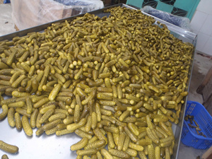 แตงกวาดองจากฟาร์มออร์แกนิกแตงกวาดองปรุงรสสมดุลแตงกวาดองเผ็ดบรรจุในขวดพริก - Product Image 4