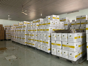 ผู้จัดจำหน่ายเส้นก๋วยเตี๋ยวเวียดนามแบบขายส่ง – โฟและป๋ะทะแท้ เนื้อแน่น ไม่เปียกน้ำ เนื้อสัมผัสแน่น ได้รับการรับรองฮาลาลและ HACCP สำหรับการส่งออก - Product Image 5