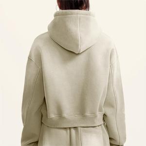 Sweat à capuche décontracté pour femme, grande taille, en tissu éponge polyester infroissable, motif uni, avec logo personnalisé, pour l'hiver, par transfert thermique - Product Image 2
