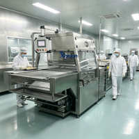 PLC-gestuurde machine voor het coaten van bevroren fruit met chocolade, dubbele coating voor donkere & witte chocolade voor aardbeien & bosbessen