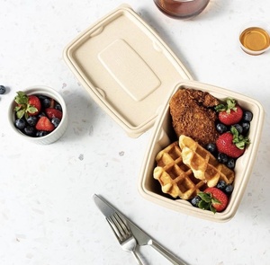 Nouveau Plateau Alimentaire Compostable en Bagasse, Contenant Jetable 650ml avec Couvercle, Anti-Fuite, Rectangulaire, pour Hôtels et Restaurants - Product Image 1