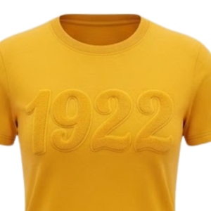 Camiseta de chenilla Sigma Gamma Rho Solid Gold 1922 para mujer, manga corta, cuello redondo, personalizada con letras griegas de la hermandad, suave y casual - Product Image 4