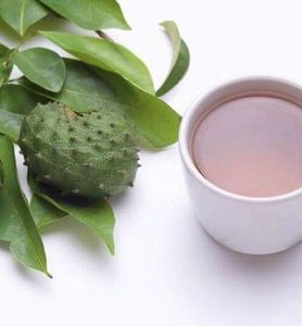 Guanábana Seca Natural de Vietnam, Alta Calidad, Sin Azúcar Añadido, Fruta Tropical Saludable, Exportación a Granel, Venta al Por Mayor, Envío Global - Product Image 1