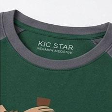 High Quality Regular Fit Front Custom Printed 100% Combed Cotton <b>Raglan</b> Tee for Gym Fitness Sportswear Teams Jersey Quick Dry - Product Image 2