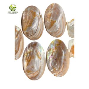Jabonera de Concha de Perla 100% Natural Hecha a Mano, Plato de Concha Marina con Borde Dorado, Bandeja de Nácar de Lujo, Diseño Clásico, Ecológica - Product Image 6