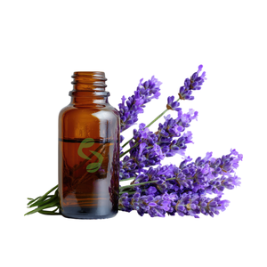 Aceite Esencial de Lavanda 100% Puro |   Grado Cosmético |   Certificado GMP |   Destilado al Vapor |   Todo Tipo de Piel |   Duración de Caducidad: 2 Años | - Product Image 2