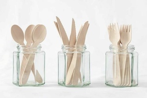 Nueva llegada: Cuchara ecológica de madera de abedul de 155 mm, vajilla natural para postres y catering, para heladerías, paquete de 25 unidades. - Product Image 1