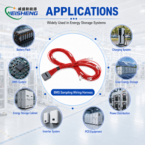Aangepaste bekabeling voor elektrische voertuigen, batterij BMS-signaalkabel, OEM ODM - Product Image 2