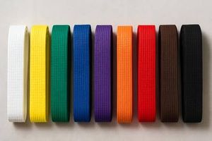 Offre Spéciale Ceintures d'entraînement unisexes d'arts martiaux de haute qualité Coton coloré Karaté Judo Taekwondo Jiu-Jitsu Logo imprimé personnalisé - Product Image 2