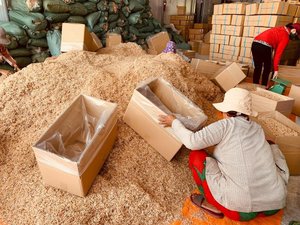 VENTE EN GROS STOCK DISPONIBLE CREVETTES POUR BÉBÉS/KRILLS SÉCHÉS/PETITES CREVETTES SÉCHÉES pour poisson tortue reptile nourriture pour animaux de compagnie - Product Image 5