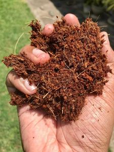 Premium 5kg Coconut <b>Coir</b> Peat <b>Block</b> 100% Natural Growing Medium for Hydroponics Greenhouse Agriculture Vietnam - Product Image 5