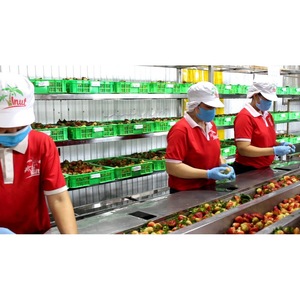 น้ำสตรอว์เบอร์รีกระป๋องอะลูมิเนียม 330 มล. ได้รับการรับรองมาตรฐาน BRC VINUT ขายส่ง รับผลิตแบบ OEM ODM รับผลิตแบรนด์ส่วนตัว - Product Image 2