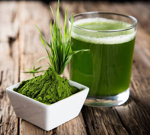 100% Pure Wheat Grass Powder Natural Food Grade Wheat Grass Powder Bulk Supplier Supports Healthy <b>Metabolism</b> In Daily Routine - Product Image 6