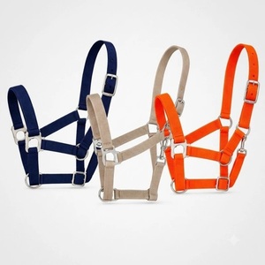 Équipement d'équitation de qualité supérieure pour chevaux, harnais en nylon coloré avec quincaillerie en acier inoxydable nickelé - Product Image 2